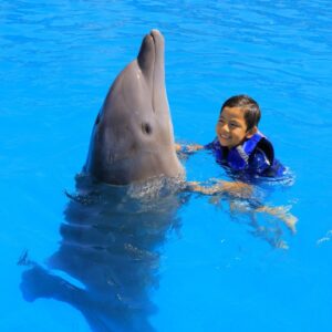 DOPHIN EXPERIENCE.