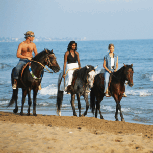 HORSE BACK RIDING